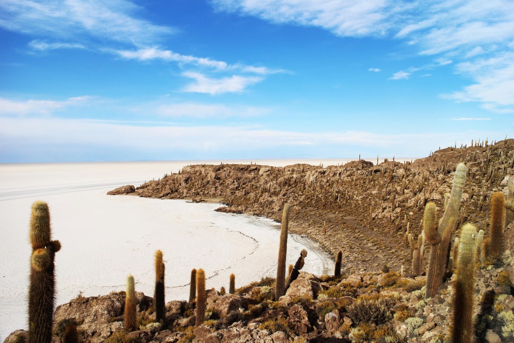 Ile de Incahuasi au milieu du Salar - Voyage en Bolivie