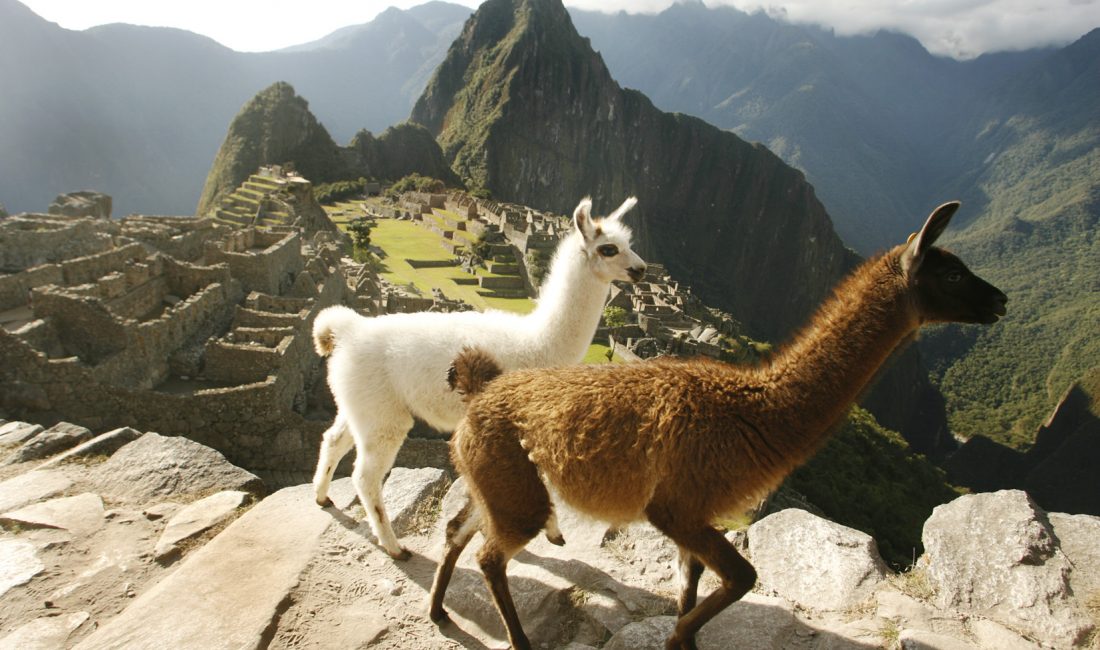Julio del 2009.  Ruinas de Machu Picchu.  Fotos: Enrique Castro-Mendvil